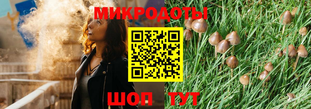 Галлюциногенные грибы MAGIC MUSHROOMS Дедовск