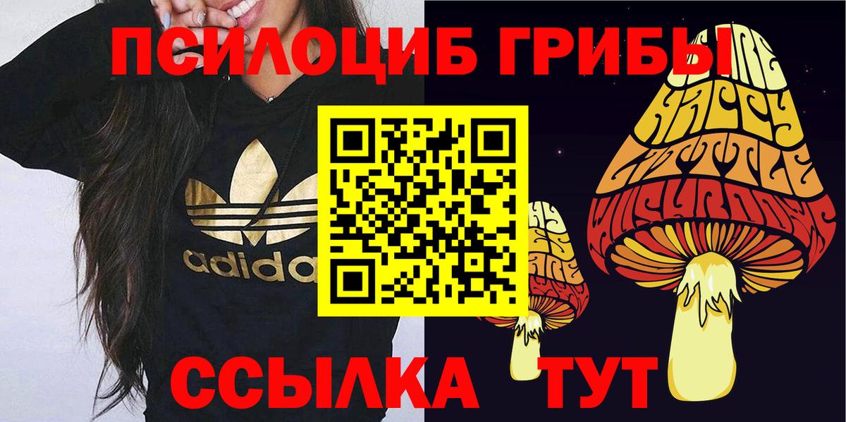 Галлюциногенные грибы мицелий  Галлюциногенные грибы Cubensis  Вход с VPN  Дедовск 